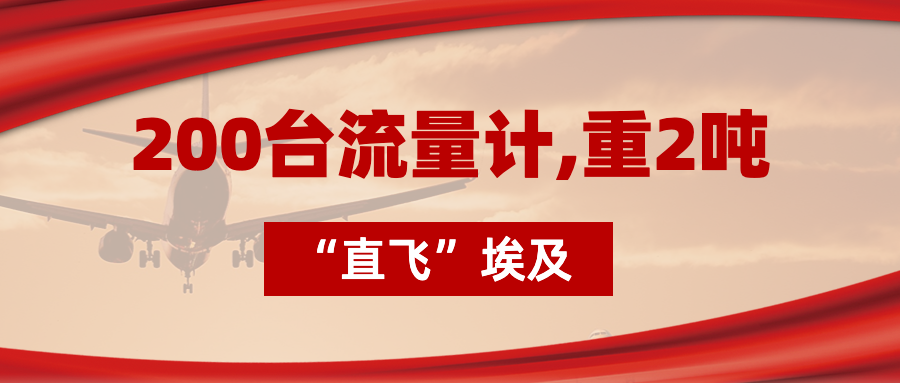 200臺(tái)流量計(jì)“直飛”埃及，重2噸，運(yùn)費(fèi)10萬(wàn)